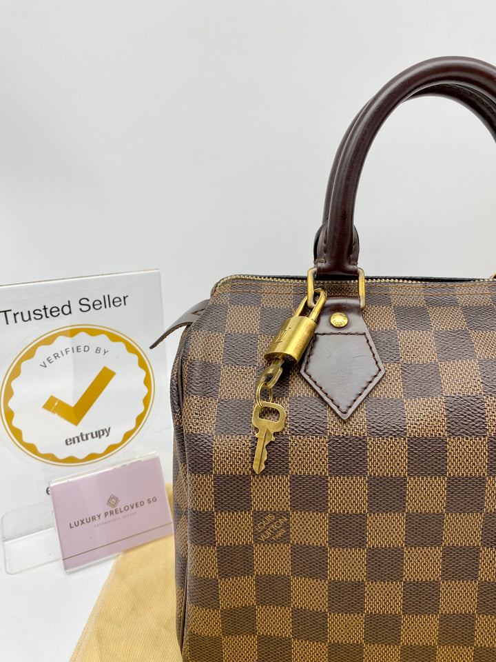 LOUIS VUITTON SPEEDY 25 DAMIER