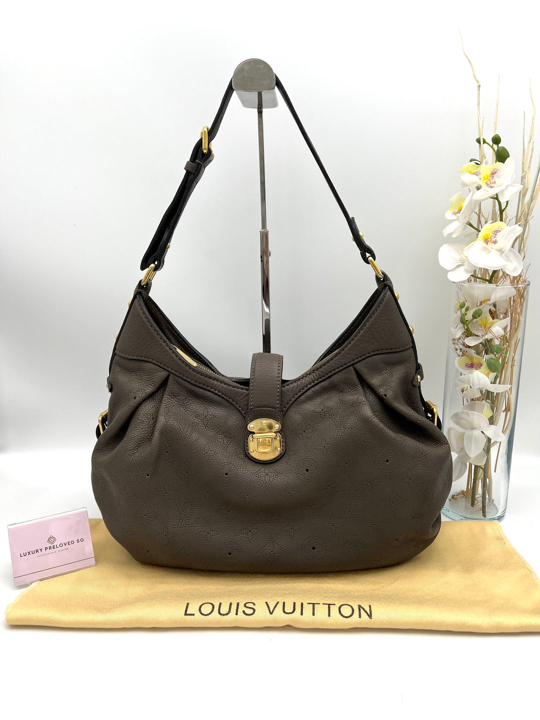 LOUIS VUITTON MAHINA XS HOBO