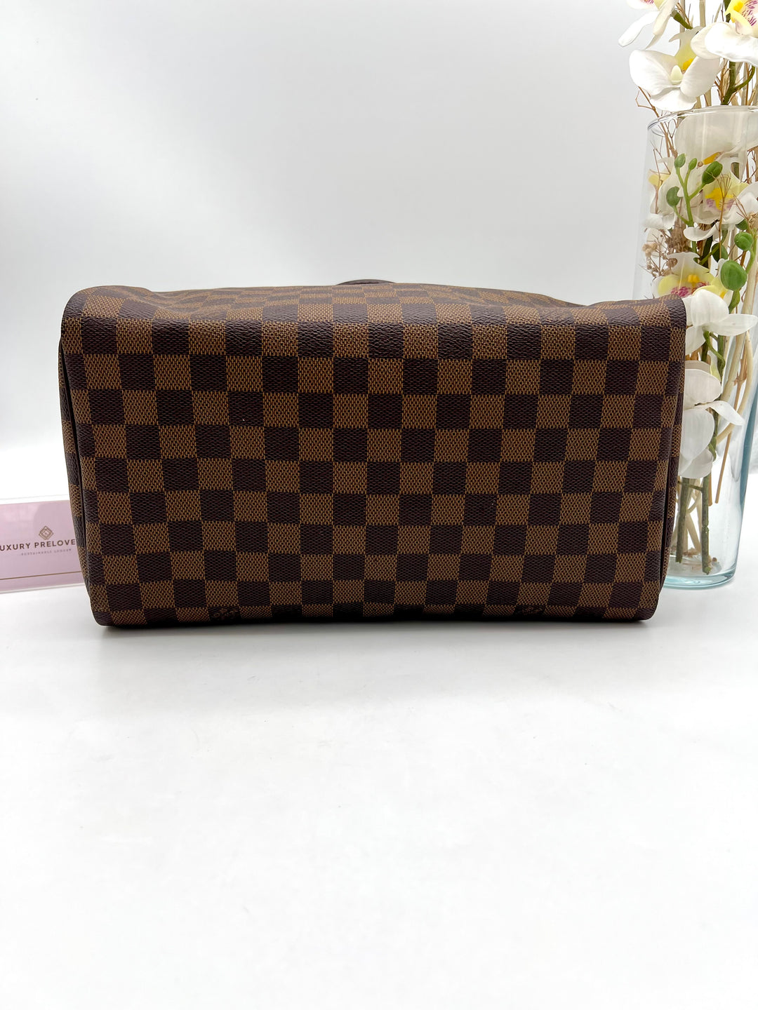 LOUIS VUITTON SPEEDY 30 DAMIER