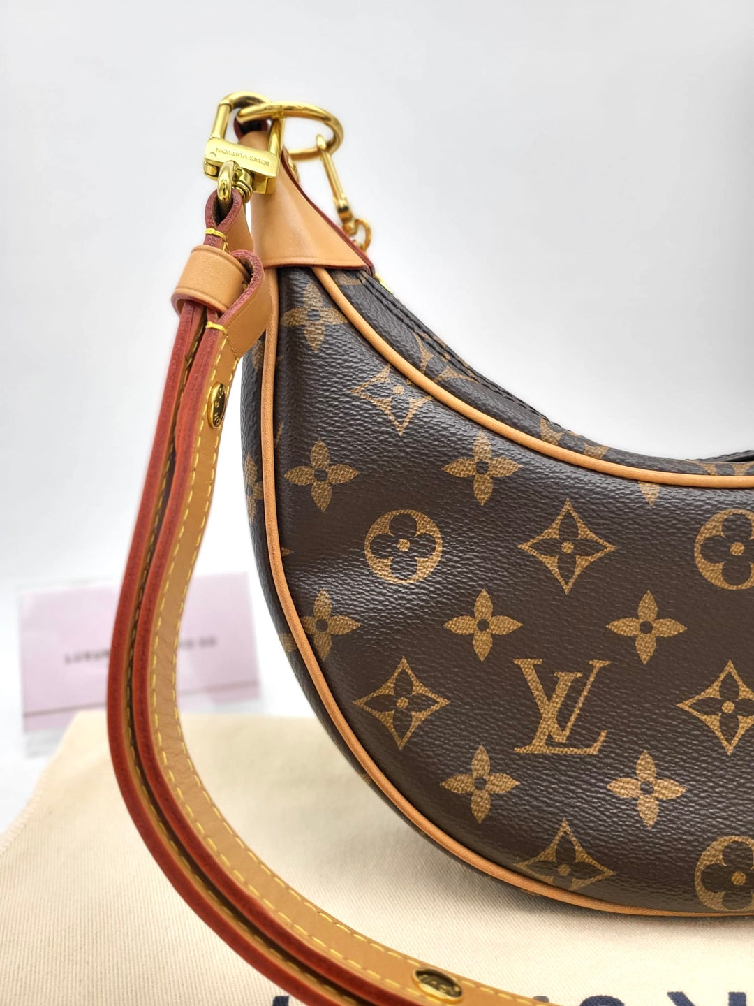 LOUIS VUITTON LOOP BAG