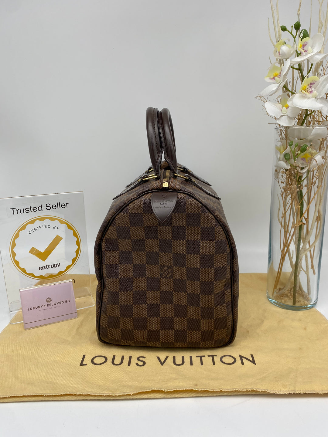 LOUIS VUITTON SPEEDY 25 DAMIER