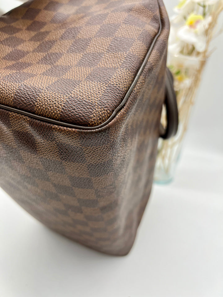 LOUIS VUITTON SPEEDY 30 DAMIER