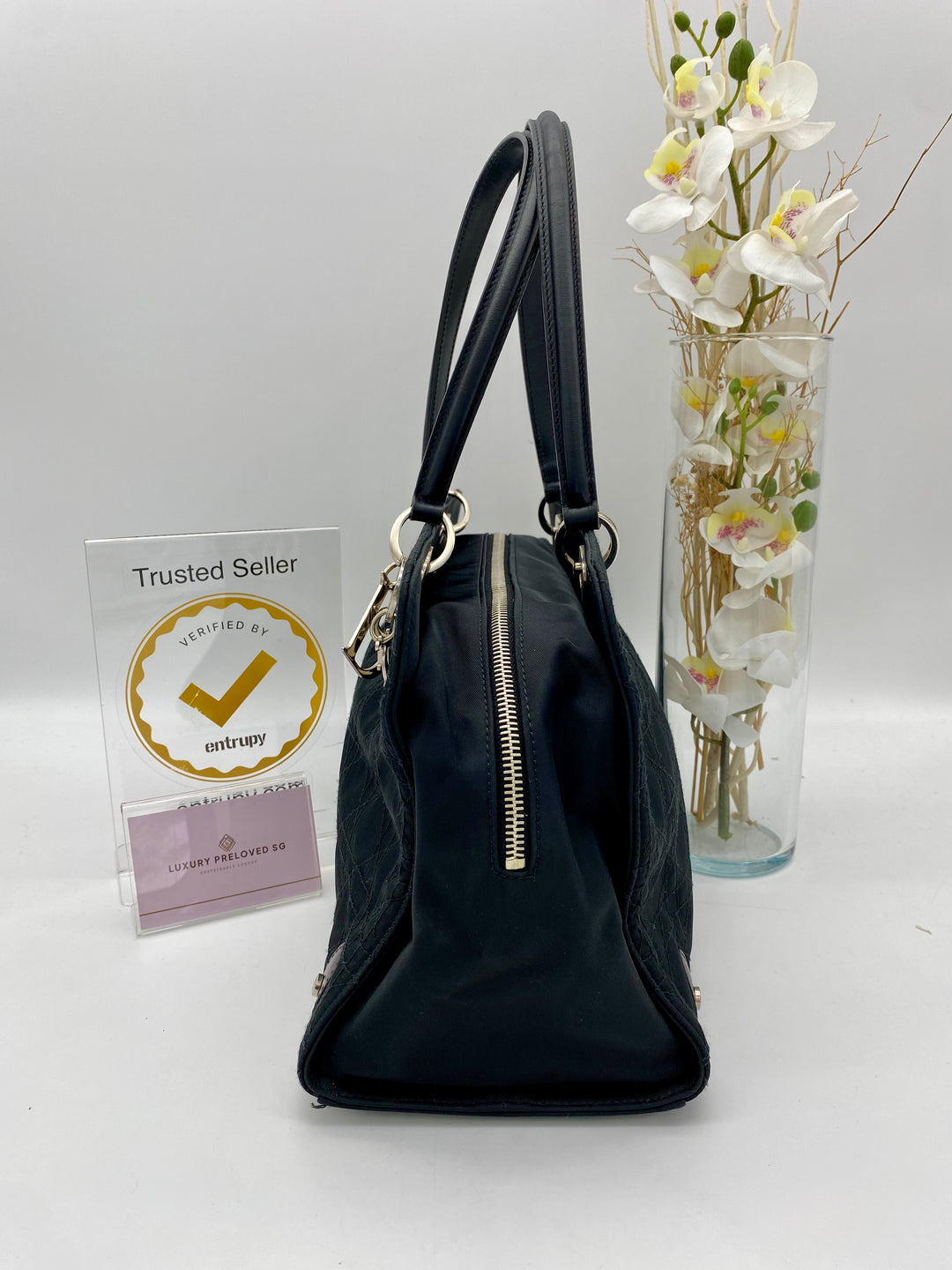 CHRISTIAN DIOR EAST WEST LADY DIOR CANVAS