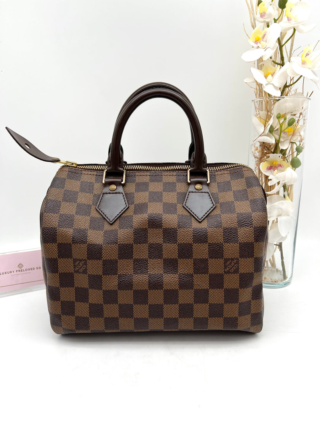 LOUIS VUITTON SPEEDY 25 DAMIER