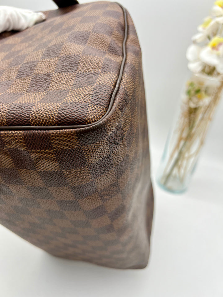 LOUIS VUITTON SPEEDY 30 DAMIER