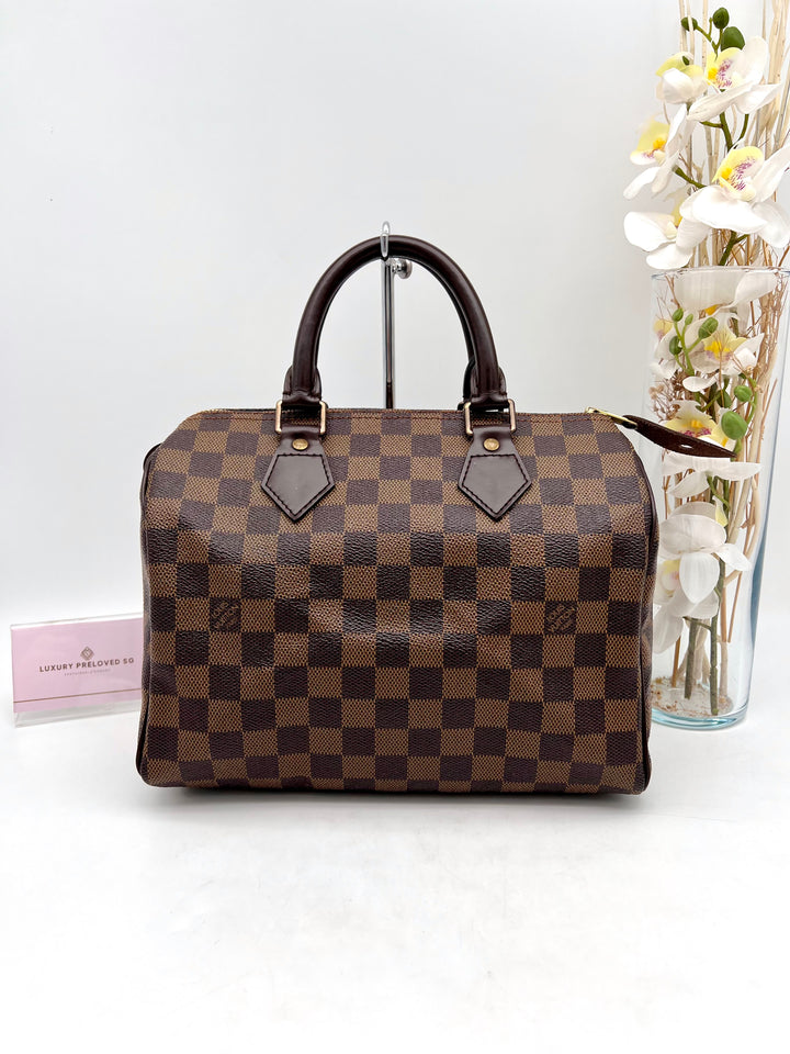 LOUIS VUITTON SPEEDY 25 DAMIER