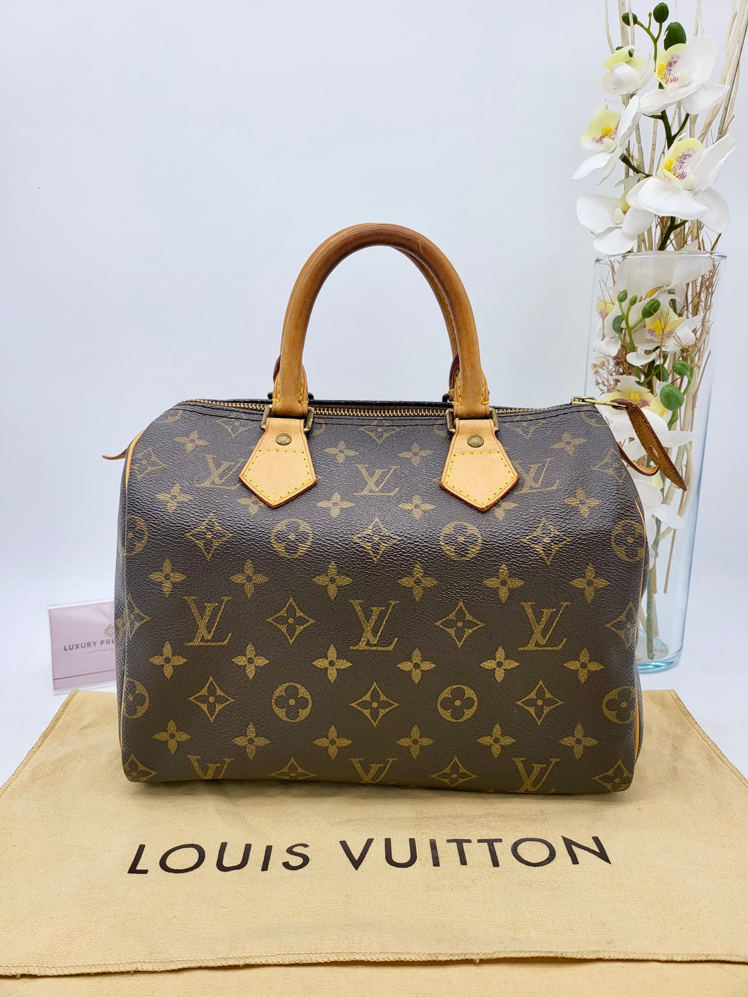 LOUIS VUITTON SPEEDY 25 MONOGRAM