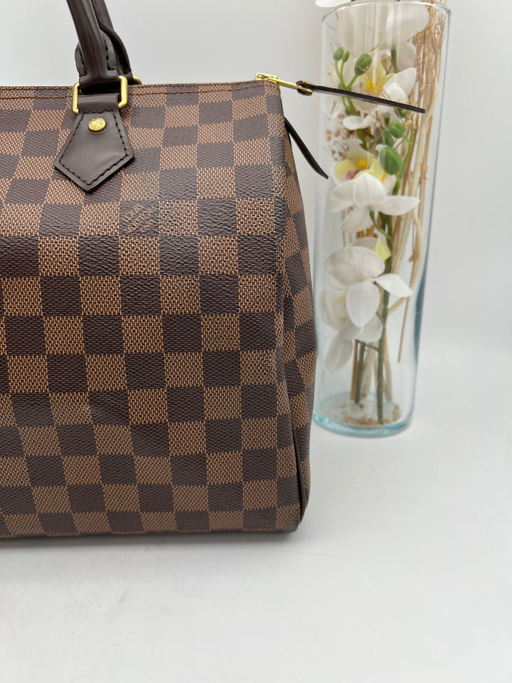 LOUIS VUITTON SPEEDY 30 DAMIER