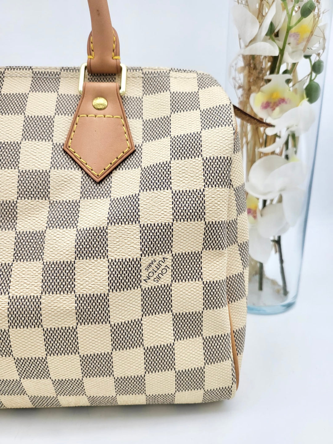 LOUIS VUITTON SPEEDY 25 AZUR