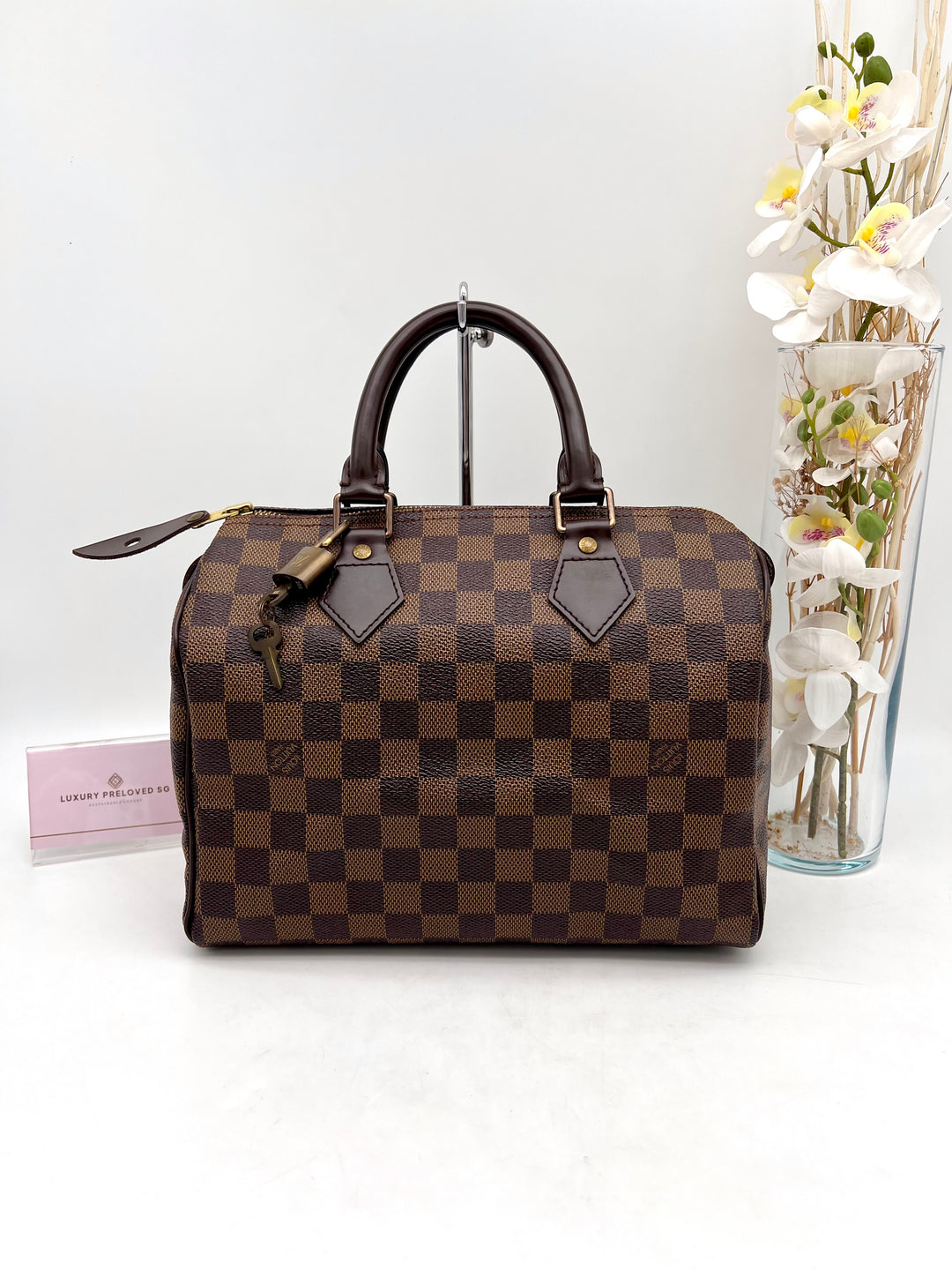 LOUIS VUITTON SPEEDY 25 DAMIER