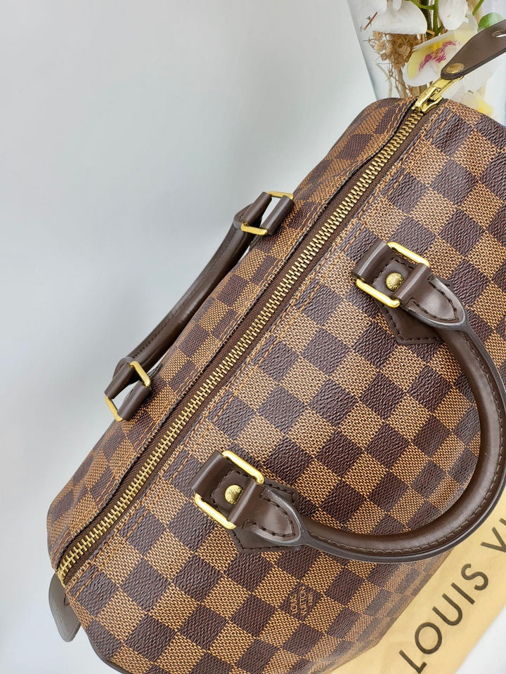 LOUIS VUITTON SPEEDY 30 DAMIER