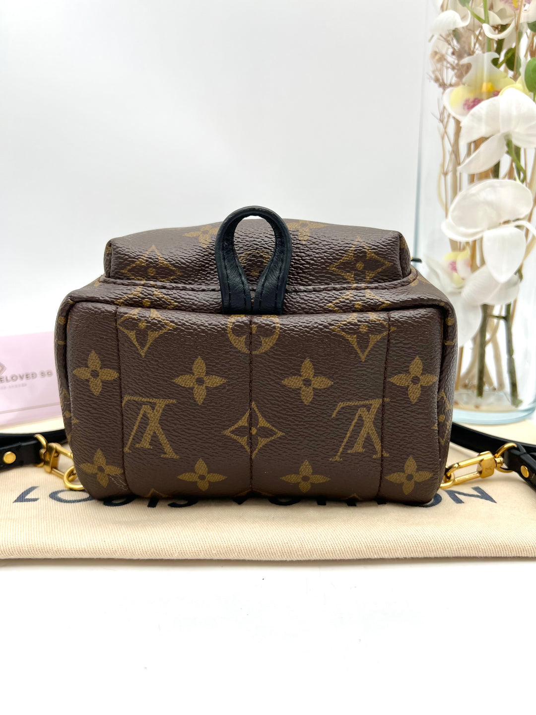 LOUIS VUITTON PALM SPRING MINI MONOGRAM