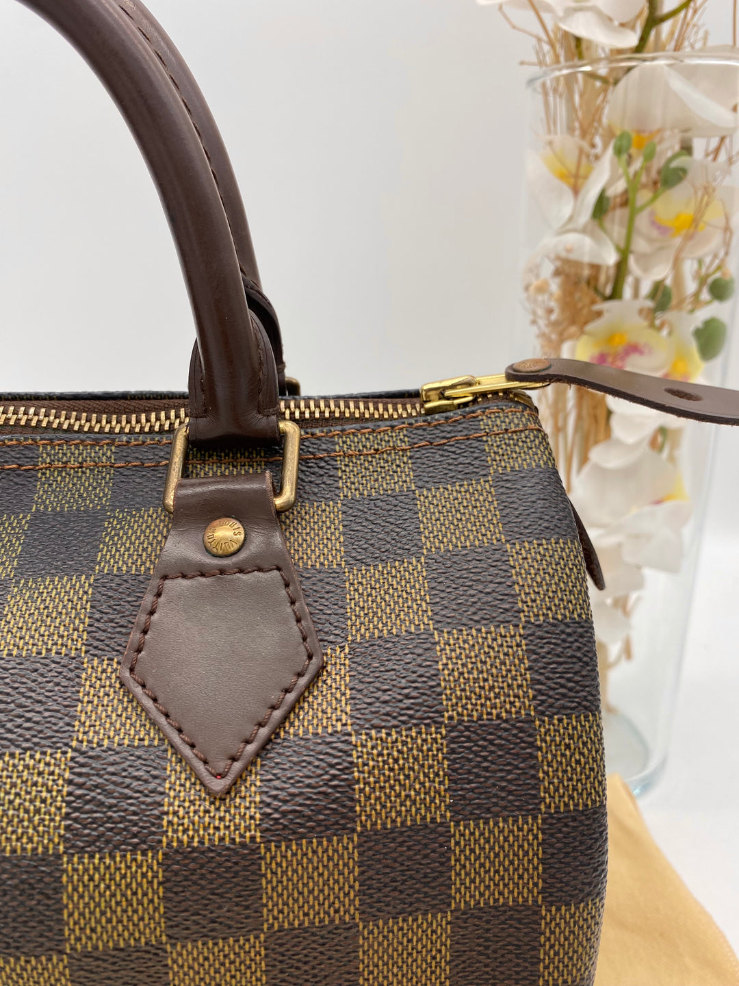 LOUIS VUITTON SPEEDY 25 DAMIER EBENE