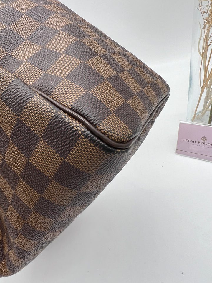 LOUIS VUITTON SPEEDY 25 DAMIER EBENE