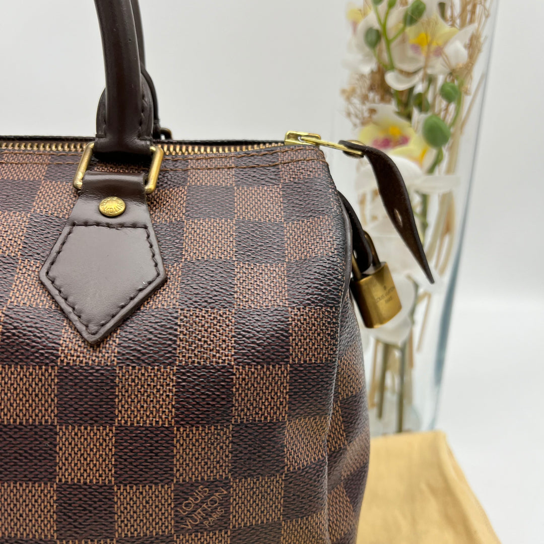 LOUIS VUITTON SPEEDY 25 DAMIER