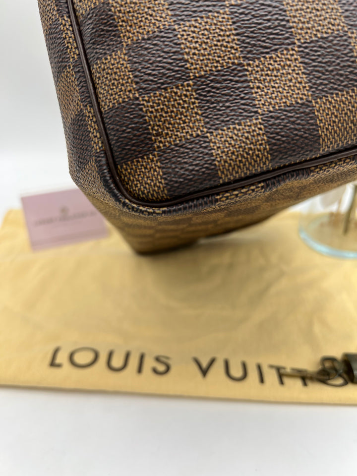 LOUIS VUITTON SPEEDY 25 DAMIER