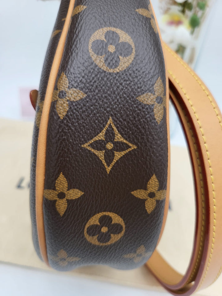 LOUIS VUITTON LOOP BAG