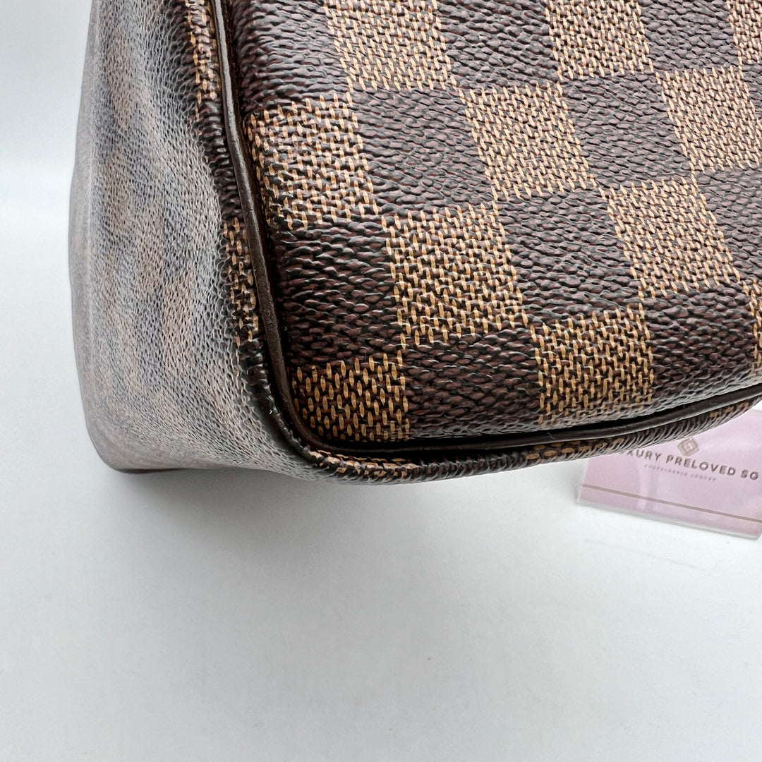 LOUIS VUITTON SPEEDY 25 DAMIER