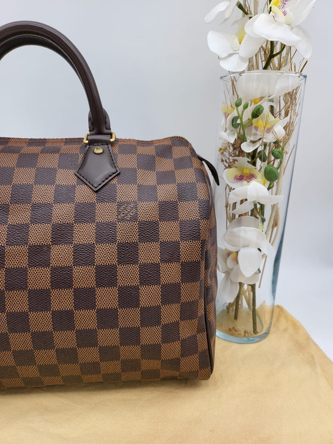 LOUIS VUITTON SPEEDY 30 DAMIER