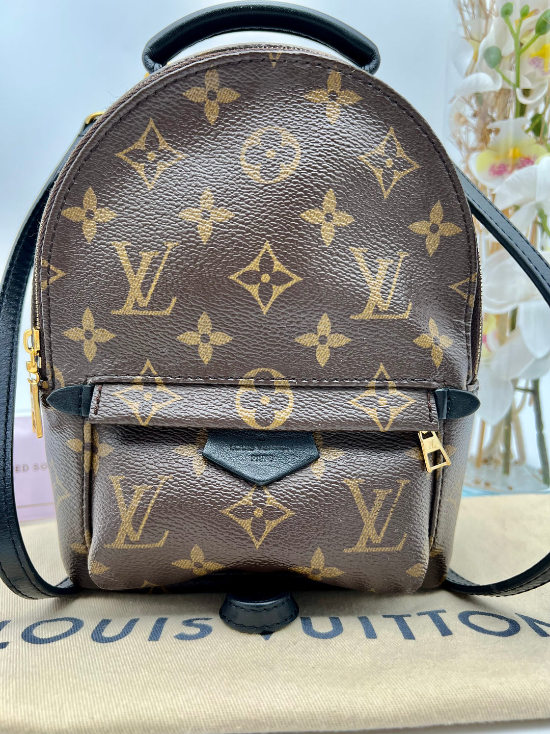 LOUIS VUITTON PALM SPRING MINI MONOGRAM
