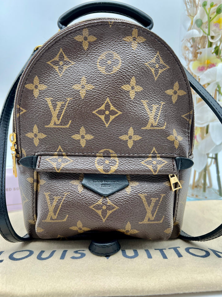 LOUIS VUITTON PALM SPRING MINI MONOGRAM