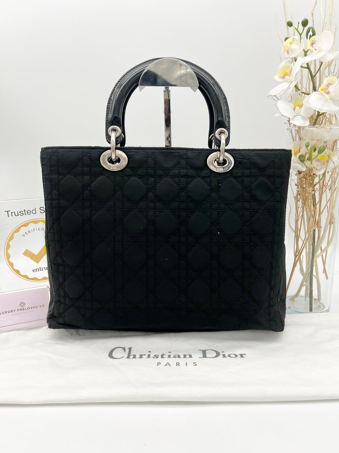 CHRISTIAN DIOR LADY DIOR CANVAS