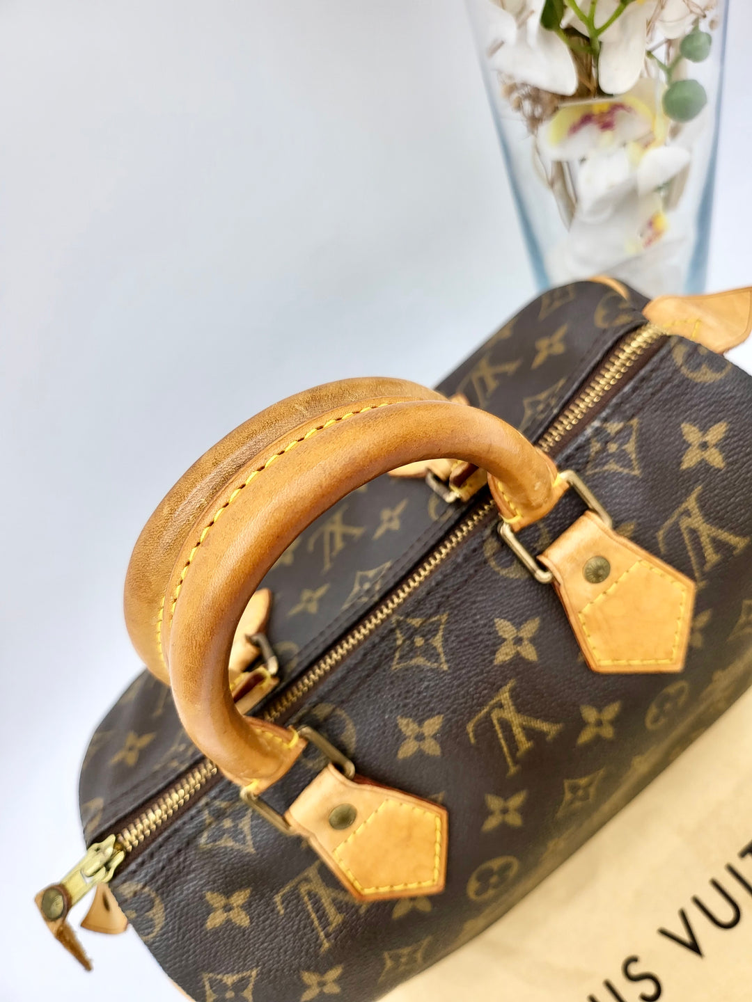 LOUIS VUITTON SPEEDY 25 MONOGRAM