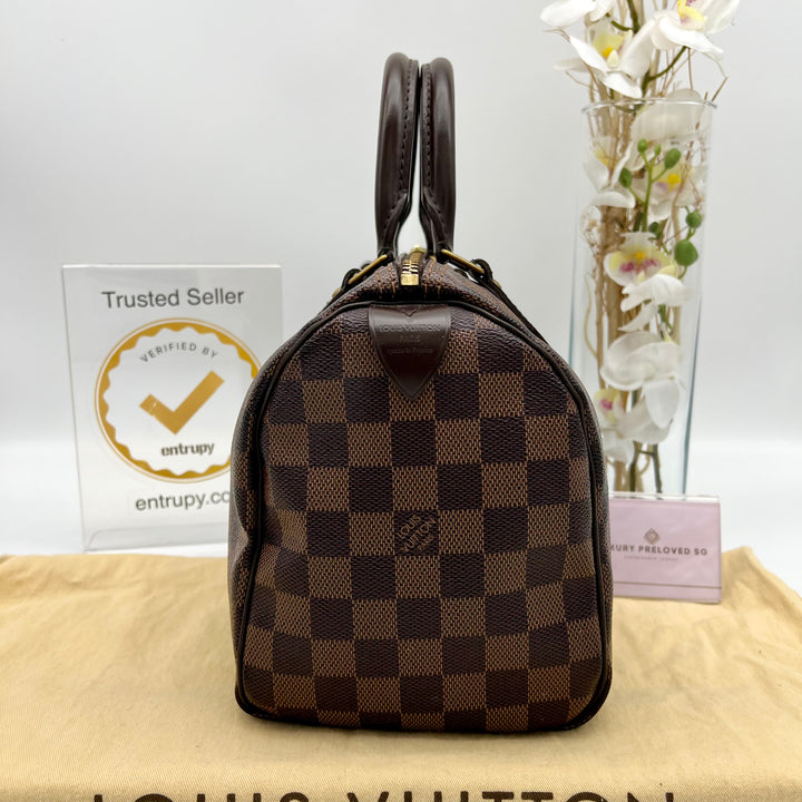 LOUIS VUITTON SPEEDY 25 DAMIER