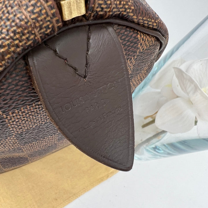 LOUIS VUITTON SPEEDY 25 DAMIER