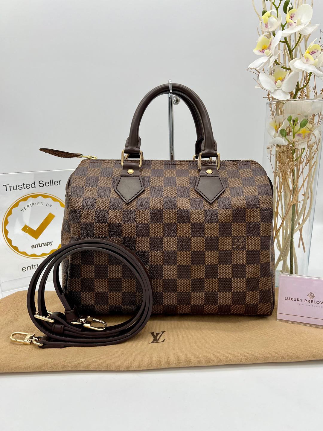 LOUIS VUITTON SPEEDY 25 DAMIER