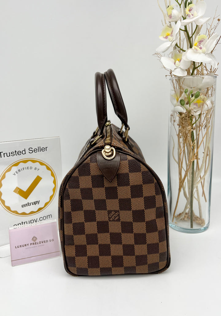 LOUIS VUITTON SPEEDY 25 DAMIER