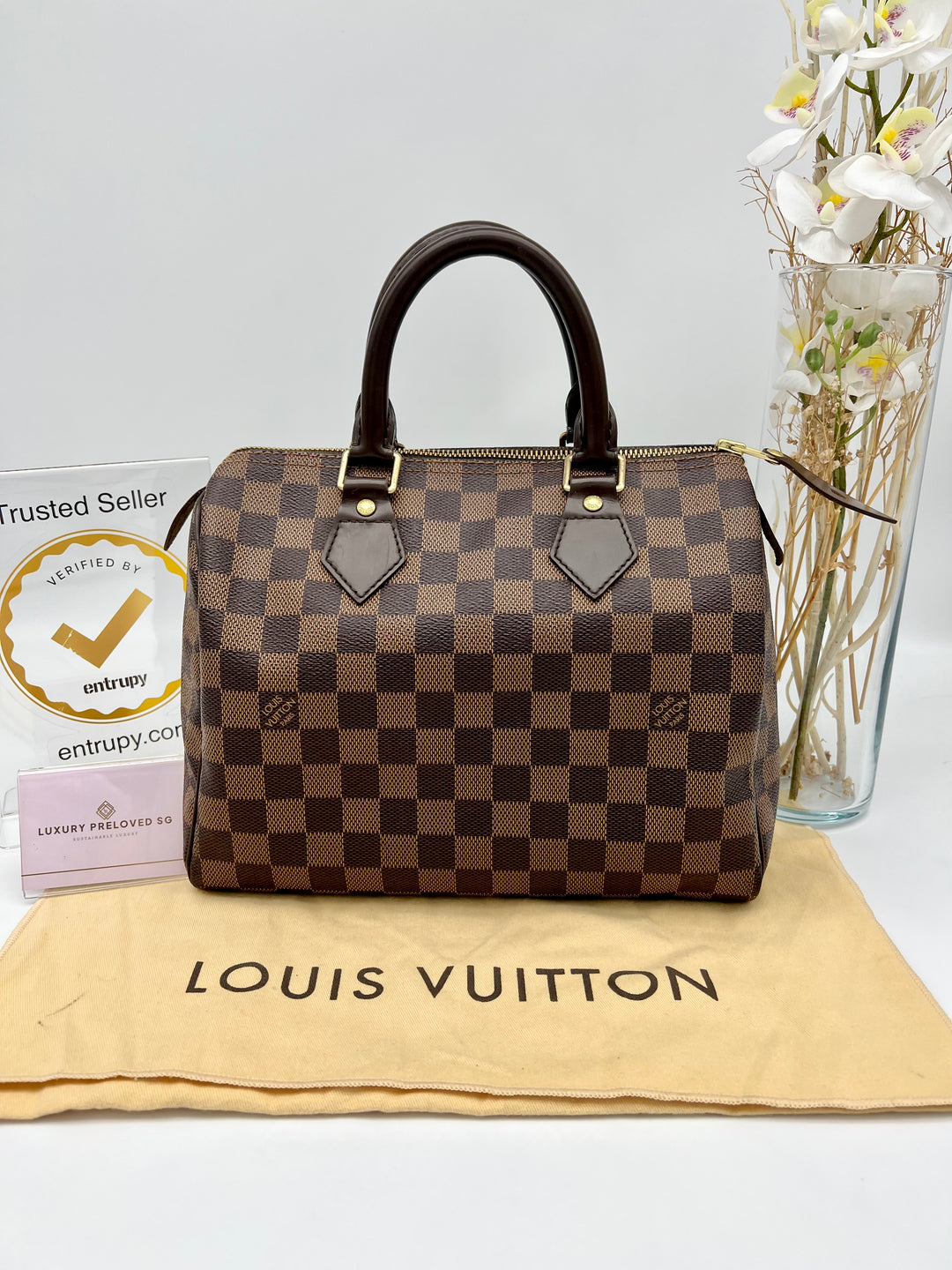 LOUIS VUITTON SPEEDY 25 DAMIER EBENE