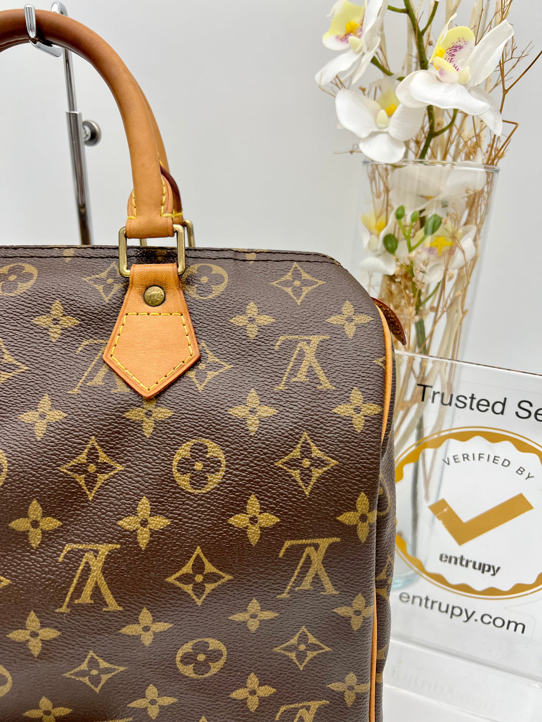 LOUIS VUITTON SPEEDY 30 Monogram