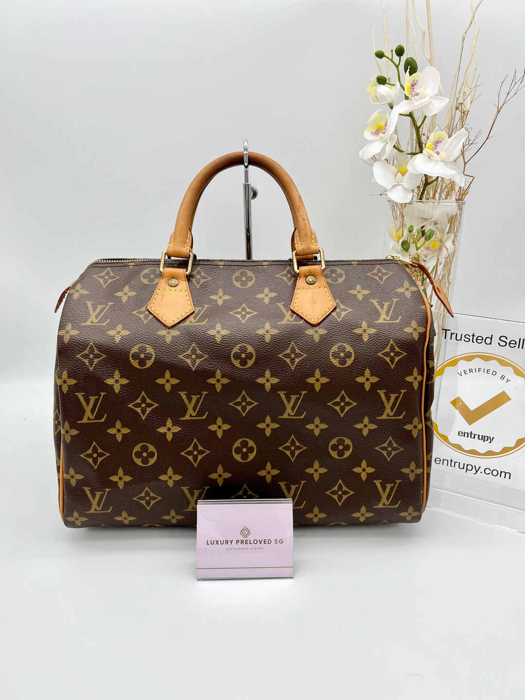 LOUIS VUITTON SPEEDY 30 Monogram