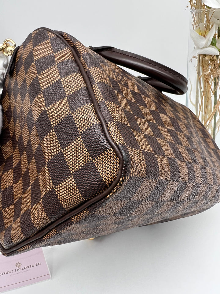 LOUIS VUITTON SPEEDY 25 DAMIER