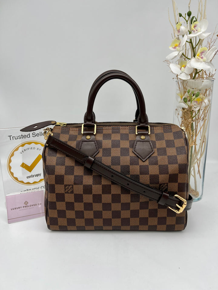 LOUIS VUITTON SPEEDY 25 DAMIER