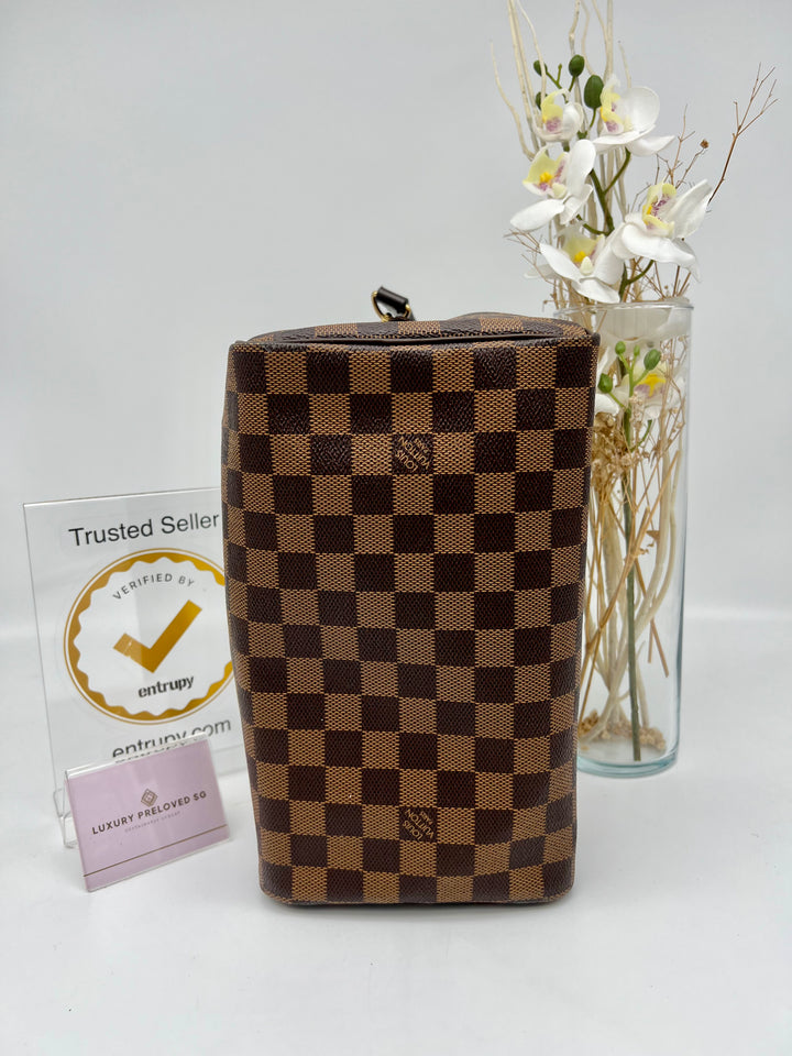 LOUIS VUITTON SPEEDY 25 DAMIER