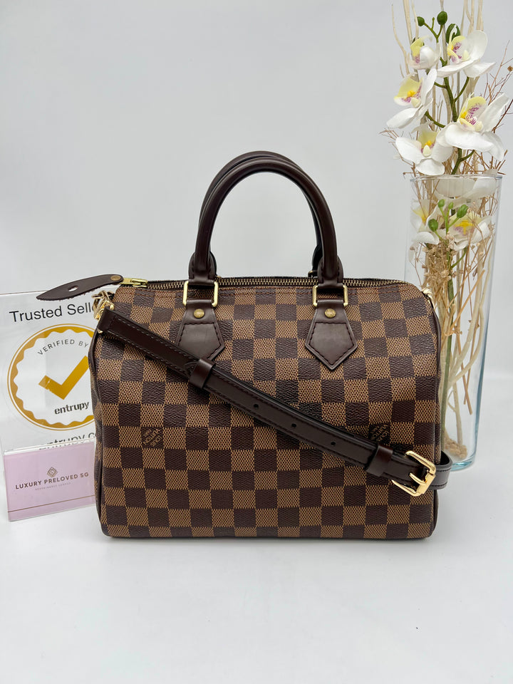 LOUIS VUITTON SPEEDY 25 DAMIER