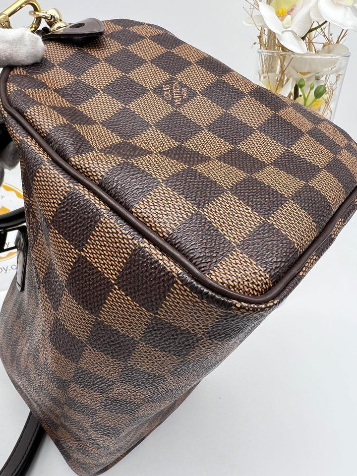 LOUIS VUITTON SPEEDY 25 DAMIER