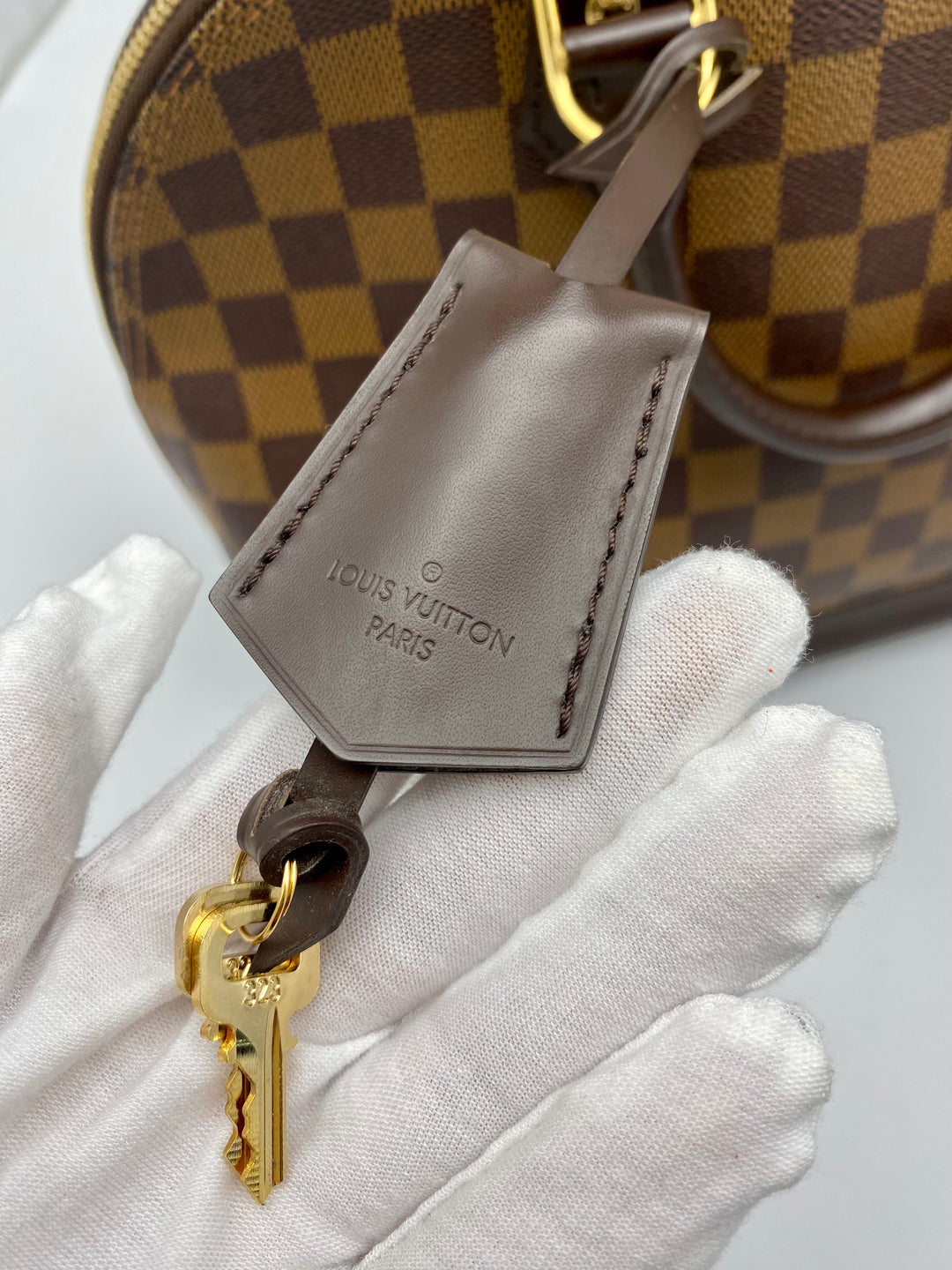 LOUIS VUITTON ALMA PM DAMIER EBENE