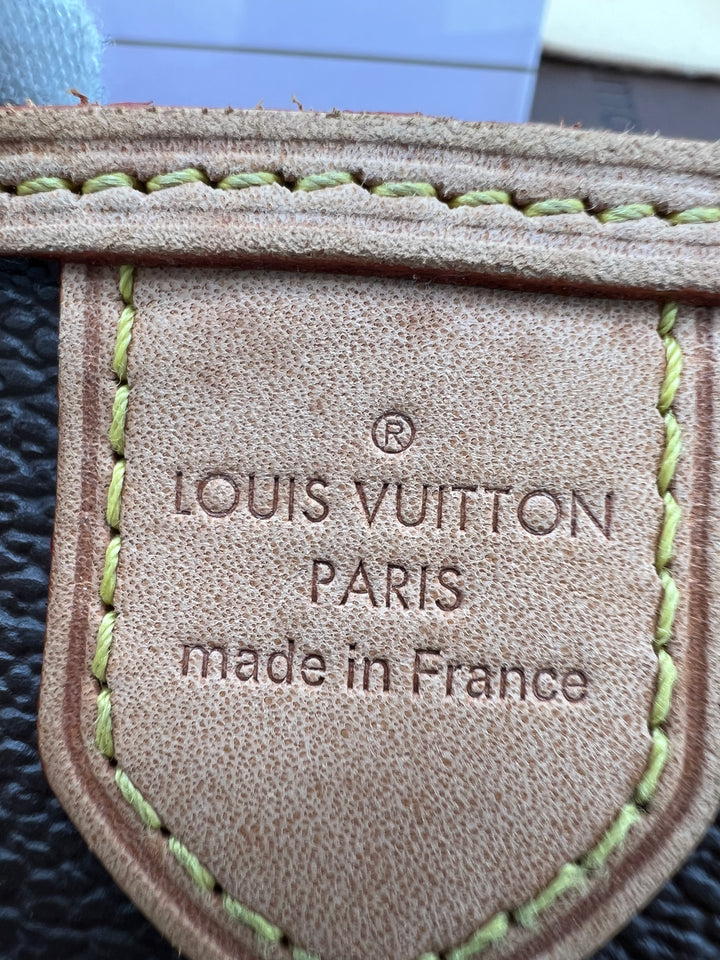 LOUIS VUITTON MINI DELIGHTFUL MONOGRAM