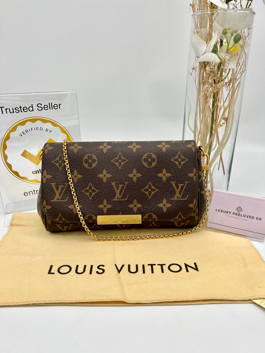 LOUIS VUITTON FAVOURITE PM MONOGRAM