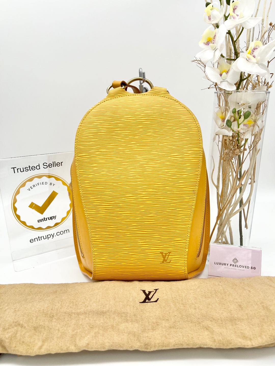 LOUIS VUITTON EPI MABILLON BACKPACK