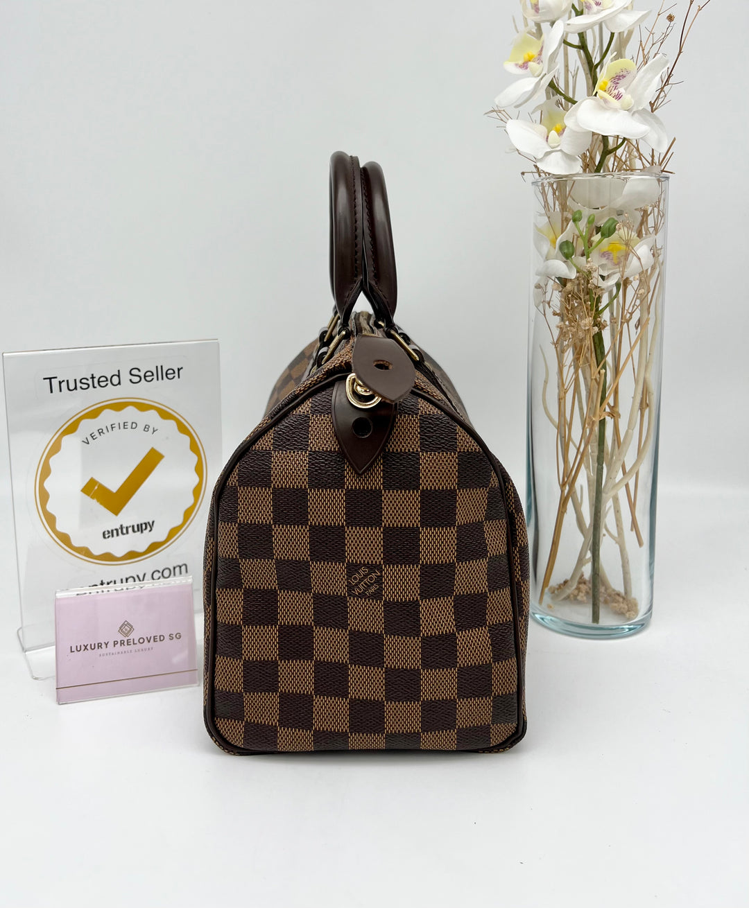 LOUIS VUITTON SPEEDY 25 DAMIER