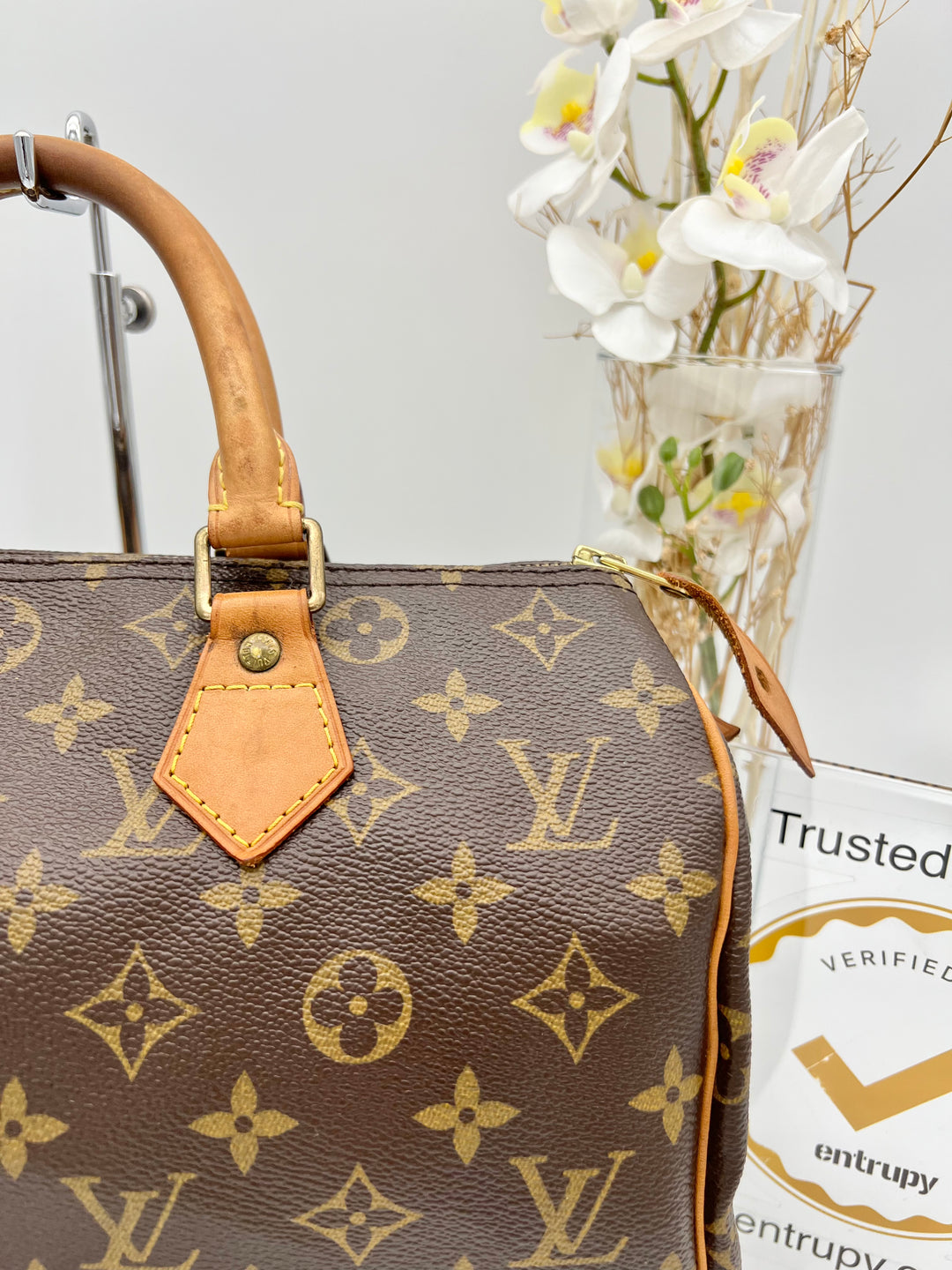 LOUIS VUITTON SPEEDY 30 Monogram