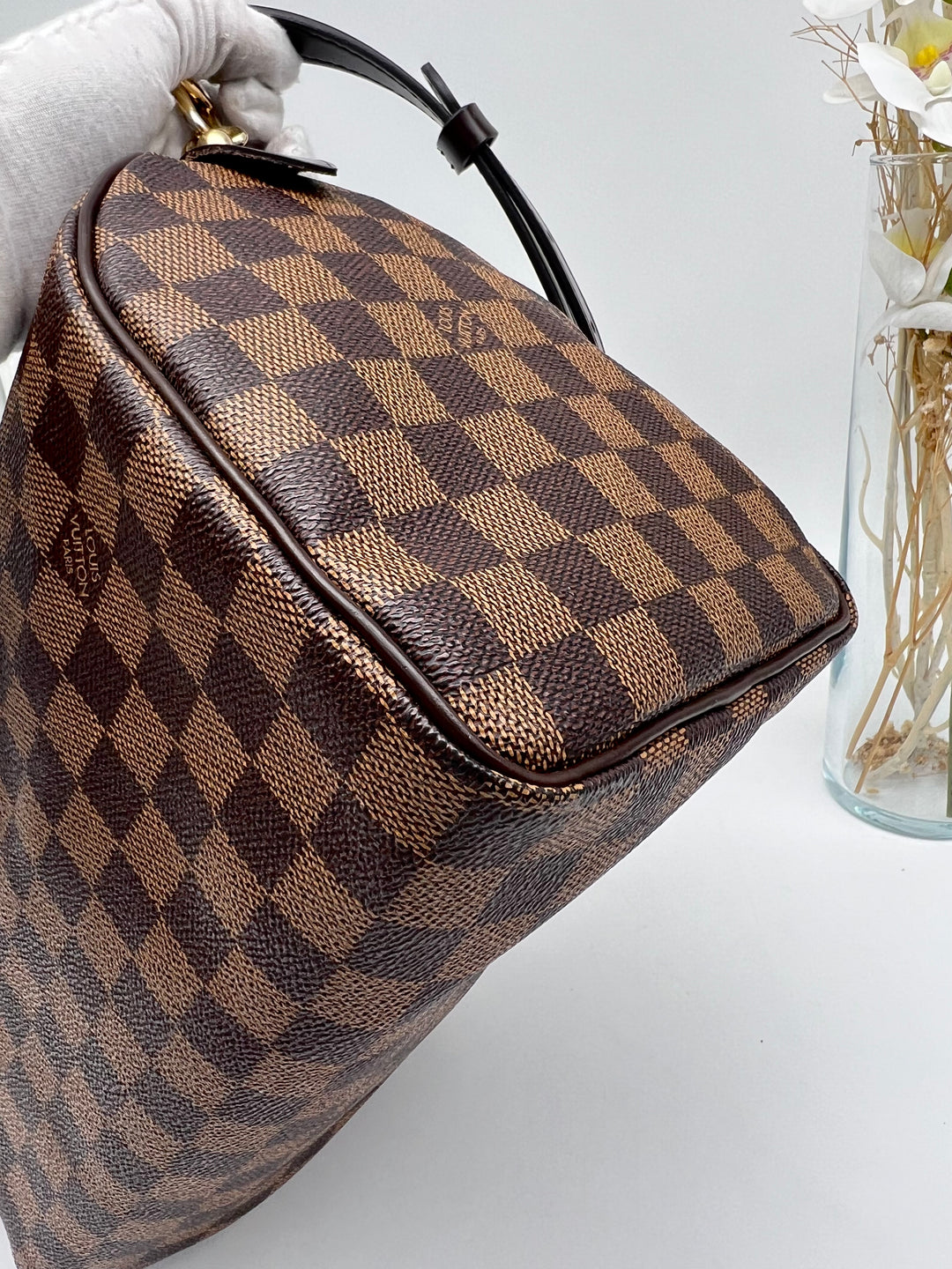 LOUIS VUITTON SPEEDY 25 DAMIER