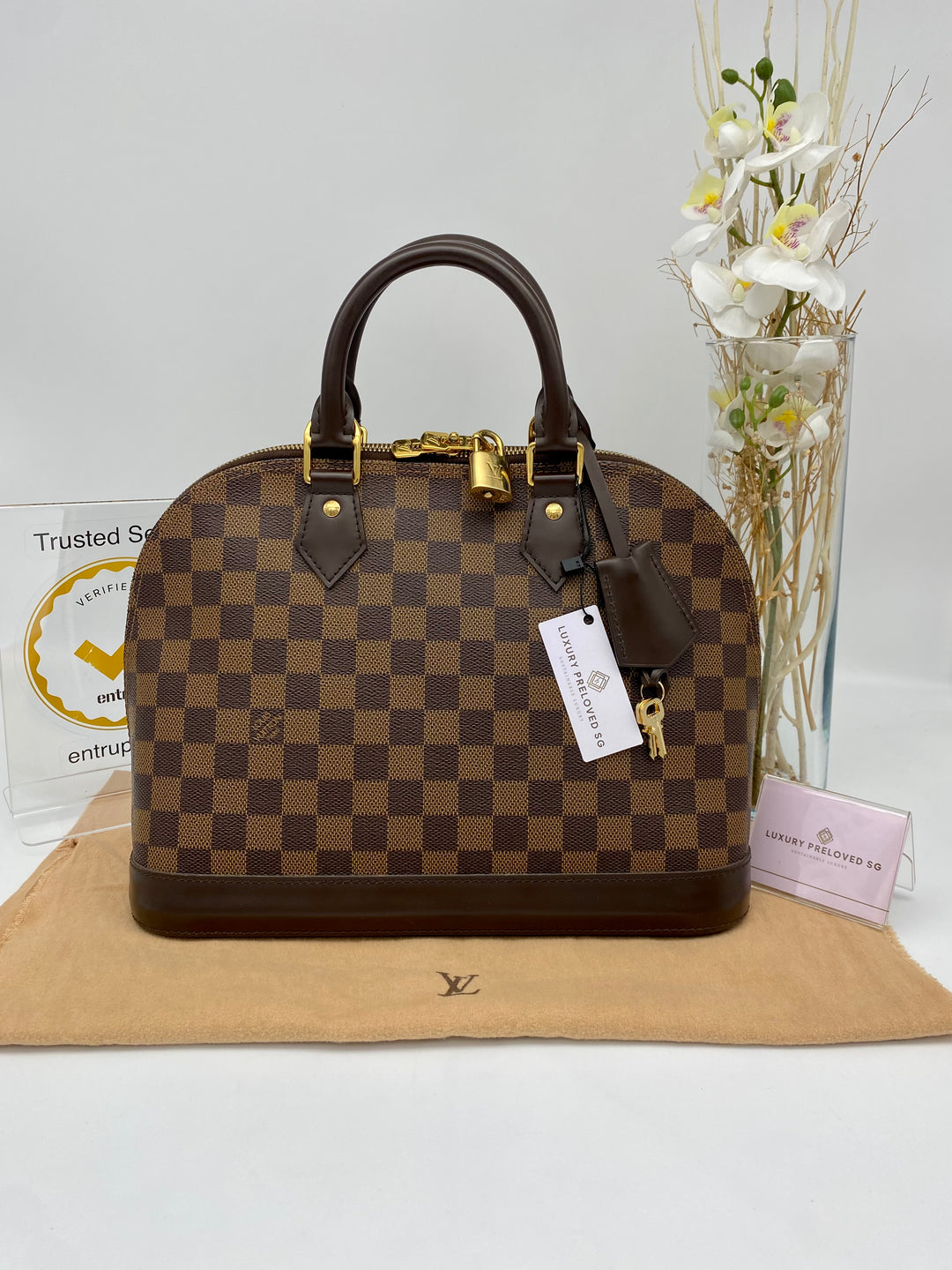 LOUIS VUITTON ALMA PM DAMIER EBENE