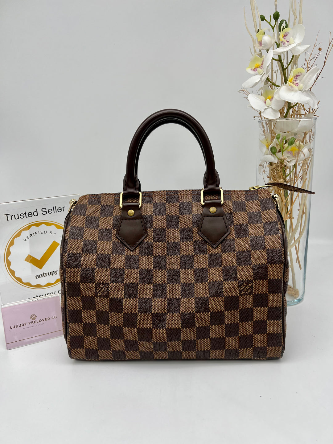 LOUIS VUITTON SPEEDY 25 DAMIER