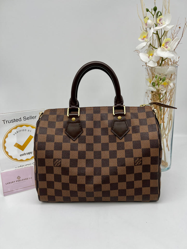 LOUIS VUITTON SPEEDY 25 DAMIER