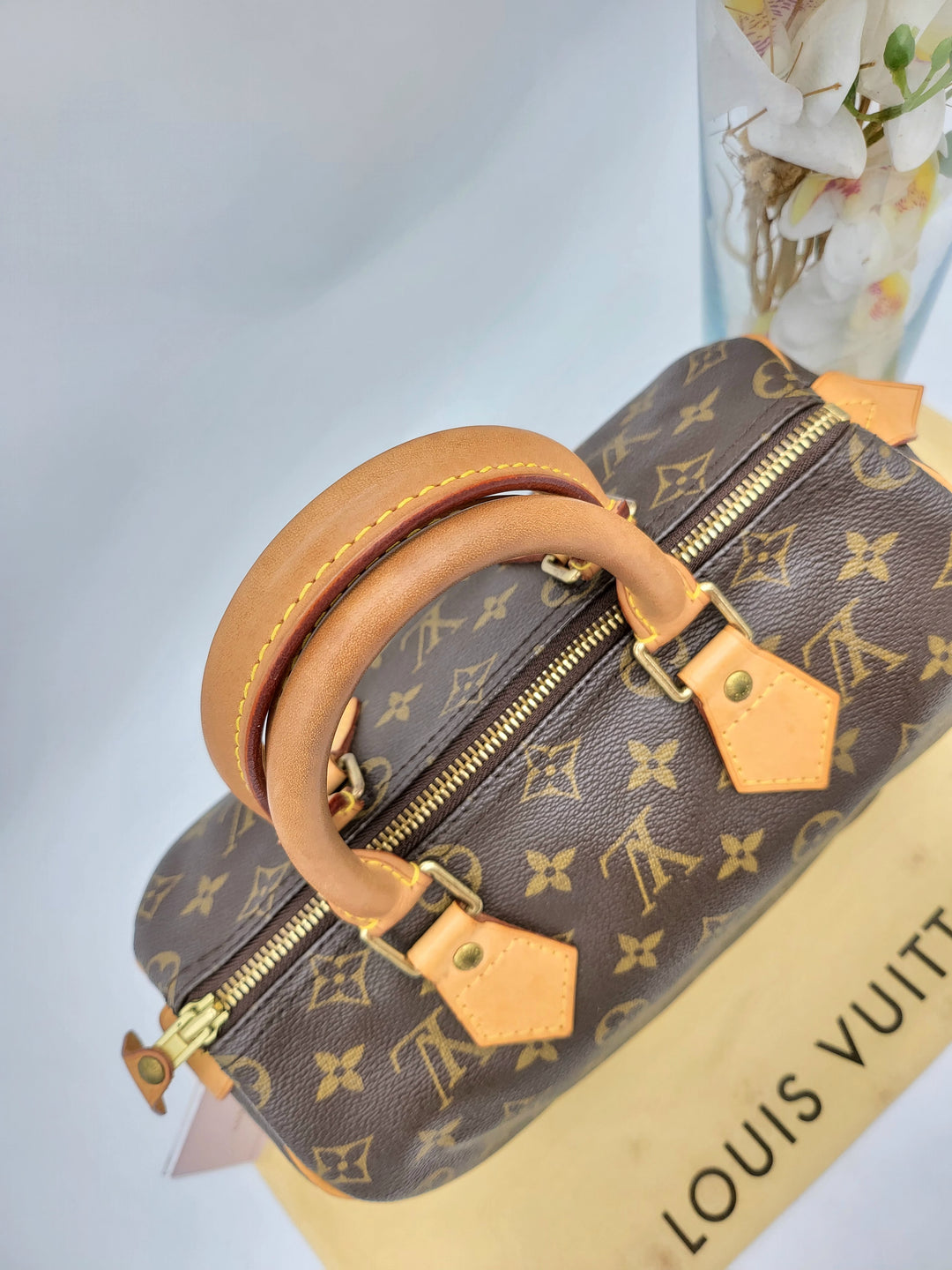 LOUIS VUITTON SPEEDY 25 MONOGRAM